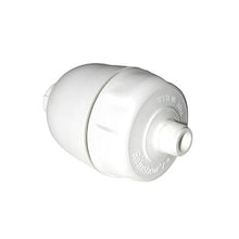 Load image into Gallery viewer, Rainshower Restore Shower Head with Filter