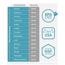 Load image into Gallery viewer, Seychelle Radiological Replacement Pitcher Filter 1-40400-w