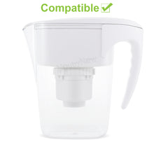 Load image into Gallery viewer, Seychelle Radiological Replacement Pitcher Filter 1-40400-w