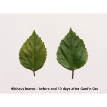 Load image into Gallery viewer, Rainshower Garden Grow Hose Filter