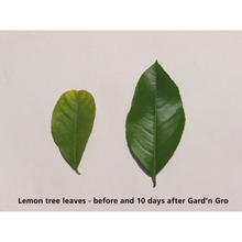 Load image into Gallery viewer, Rainshower Garden Grow Hose Filter