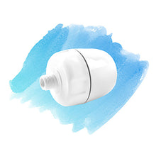 Load image into Gallery viewer, Rainshower Restore Universial Shower Filter
