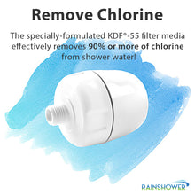 Load image into Gallery viewer, Rainshower Restore Shower Head with Filter