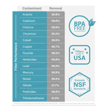 Load image into Gallery viewer, Seychelle Radiological Replacement Pitcher Filter 1-40400-w Filter 4-Pack!
